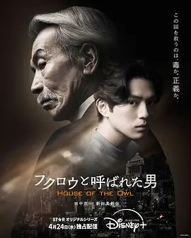 《黑幕风云》：揭露权钱交易下的真相，一场正义与黑暗的较量