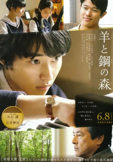 《羊与钢的森林》：听旋律触碰心灵，当音乐与人生交织，一场关于成长的温情诗篇。